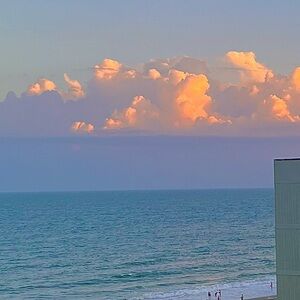 Meet your Posher, Elleigh